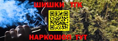 индика Нягань