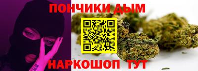 индика Нягань