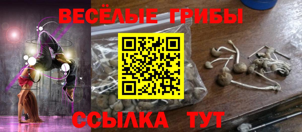 Шебекино  Псилоцибиновые грибы мицелий  Вход с VPN 